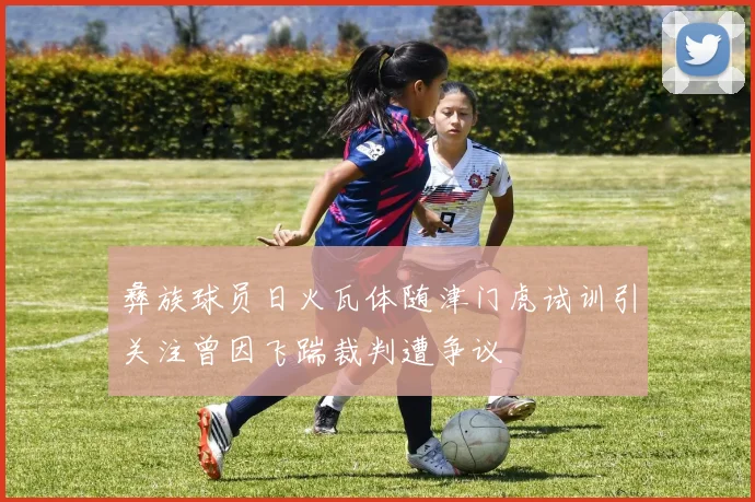 彝族球员日火瓦体随津门虎试训引关注曾因飞踹裁判遭争议